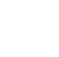 Landis Electric logo