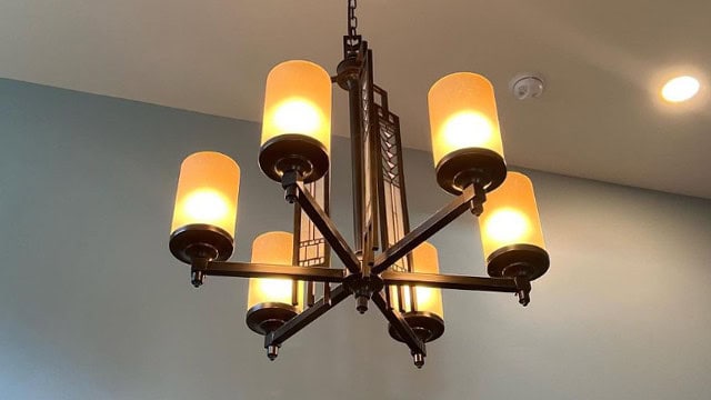 Modern Decorative Chandelier Ceiling Light Fixture (1)